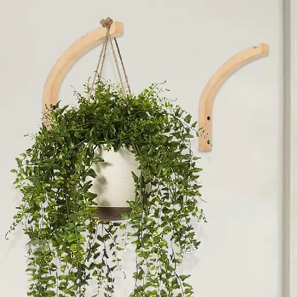 Wall Plant Hangers