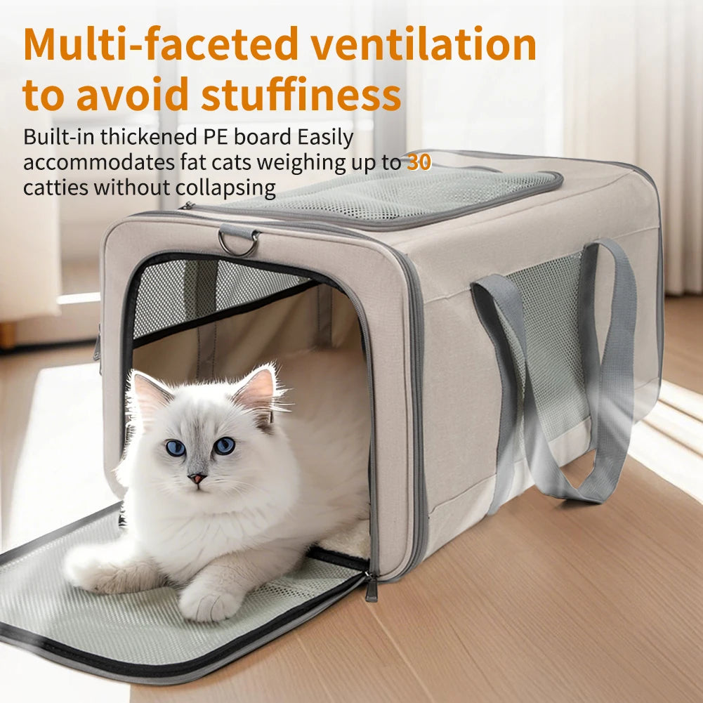 Cat trolley