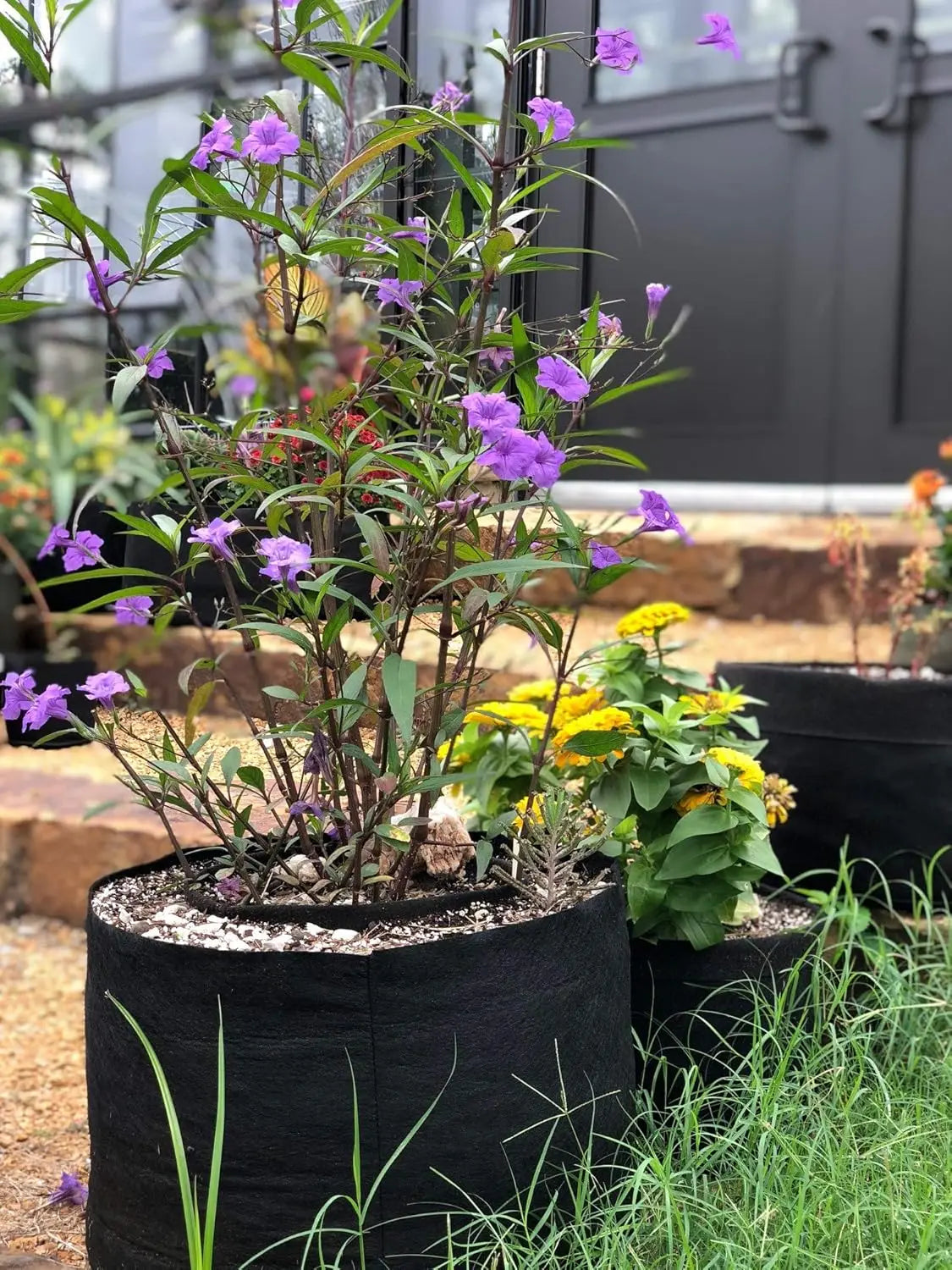 1-Gallon Pot