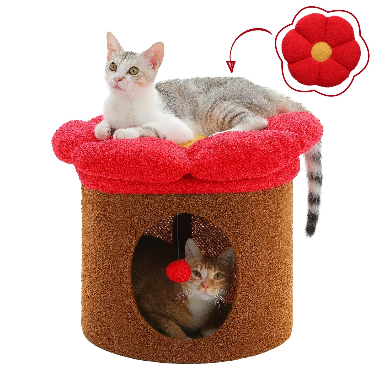 Cat Beds