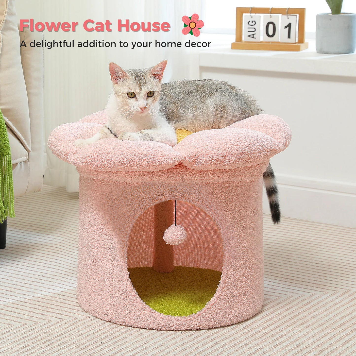 Cat Beds
