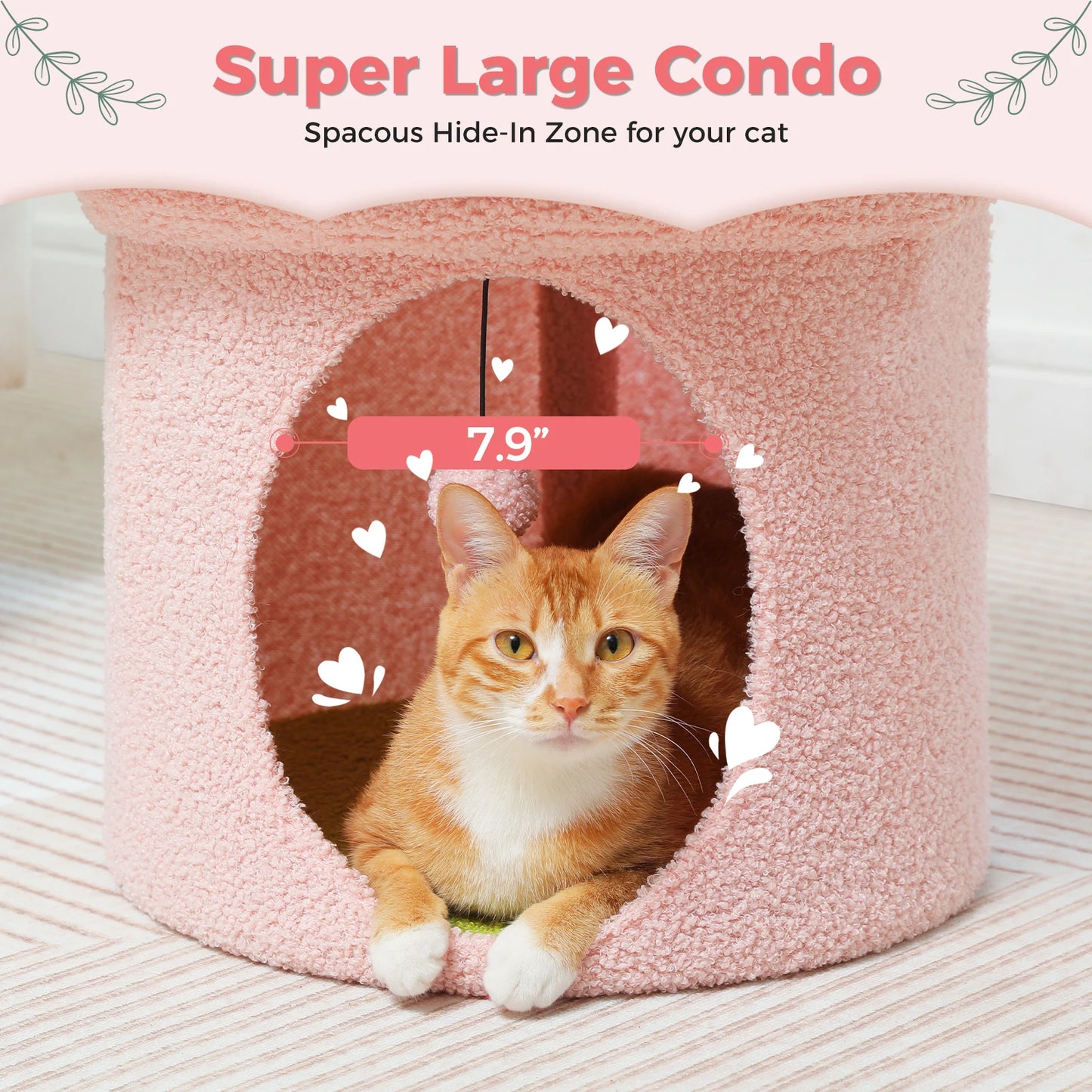 Cat Beds