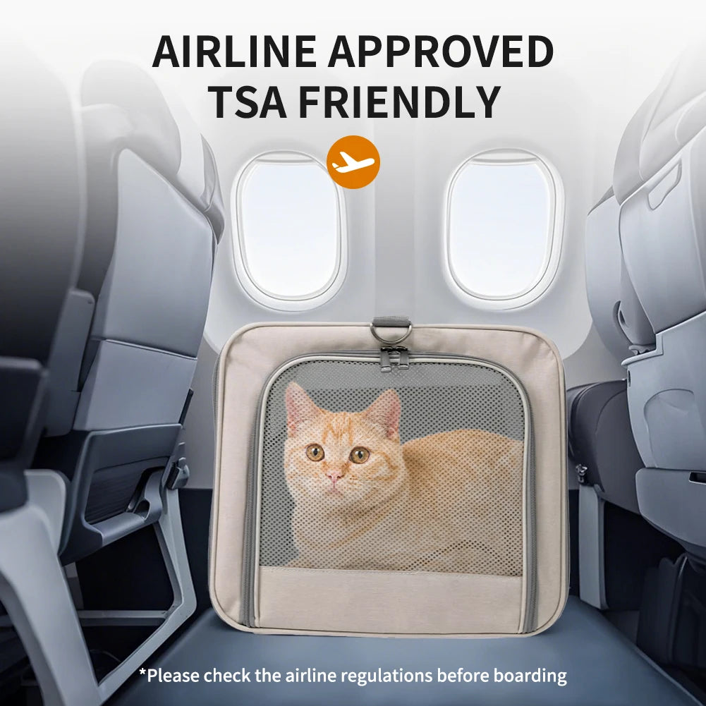 Cat trolley