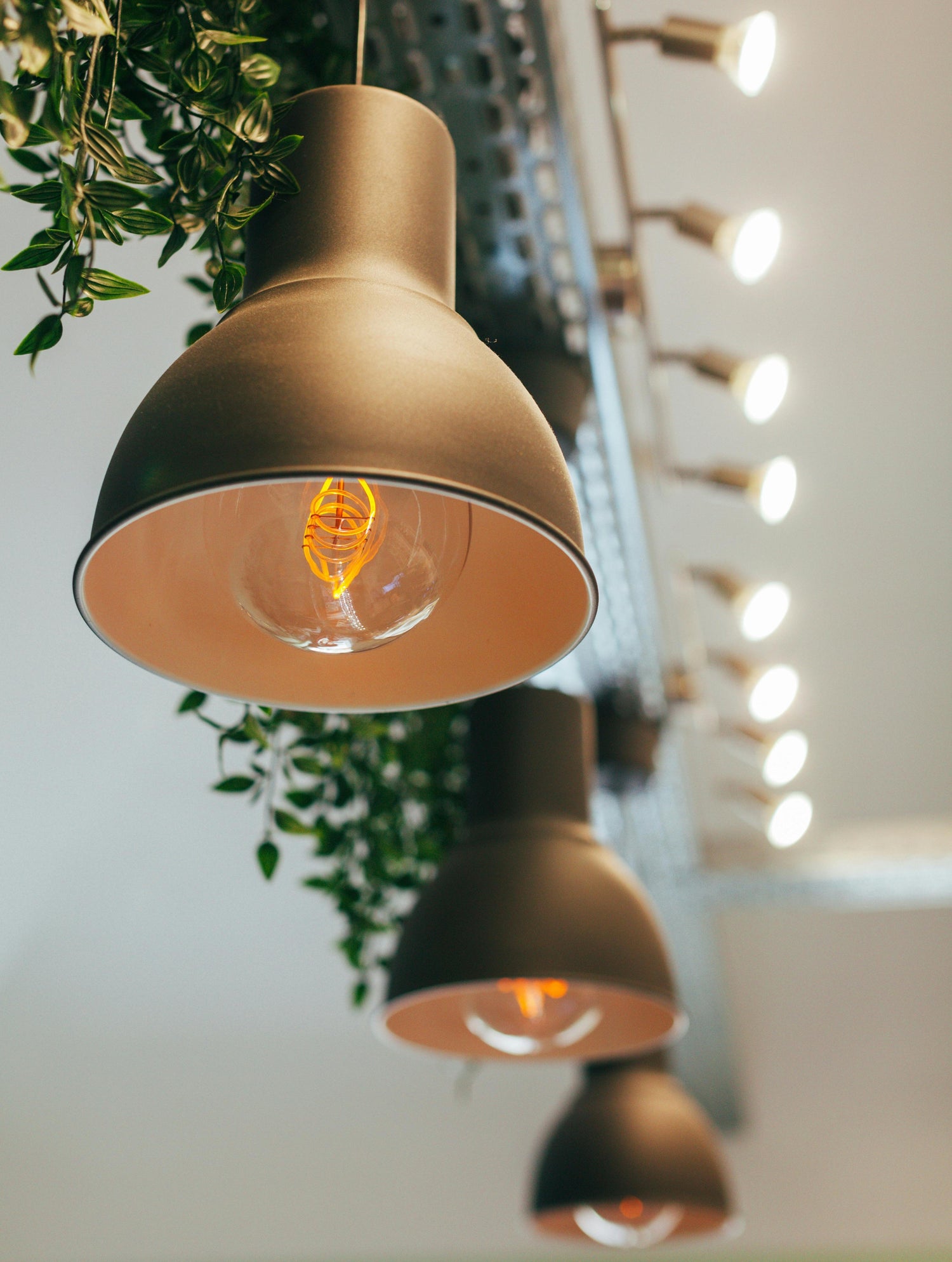 Lamps & Lights