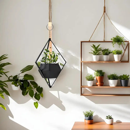 Wall Plant Hangers