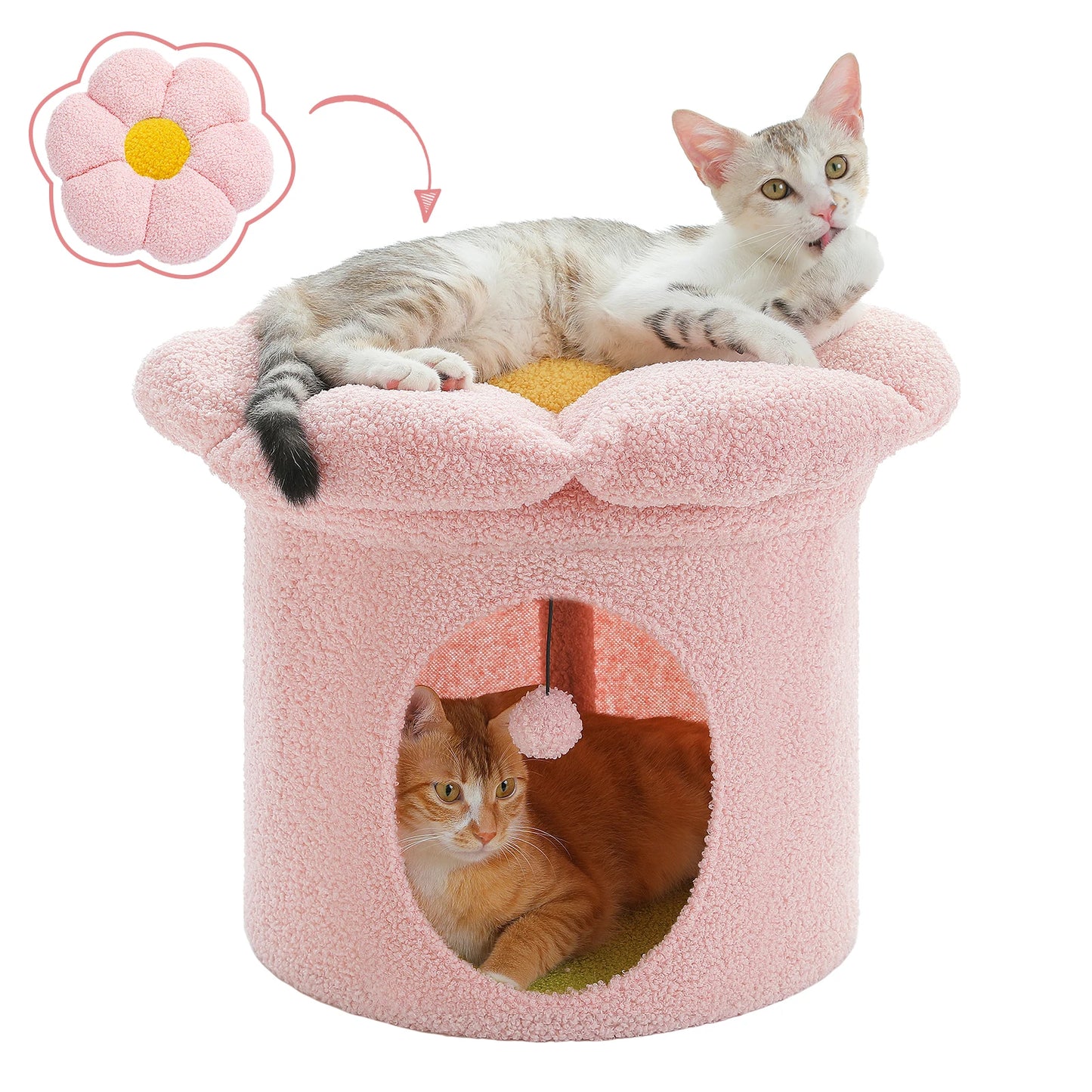 Cat Beds
