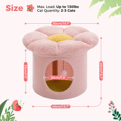 Cat Beds