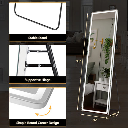 Full Body Wall Mirror with stand