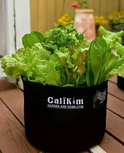 1-Gallon Pot