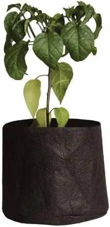 1-Gallon Pot