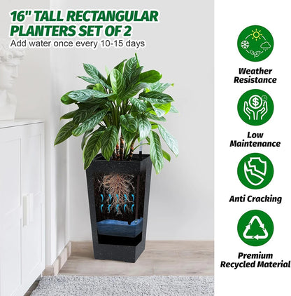 Large Planters, Set of 2 with Water Level Monitor