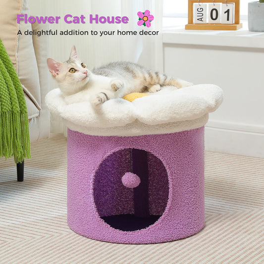 Cat Beds