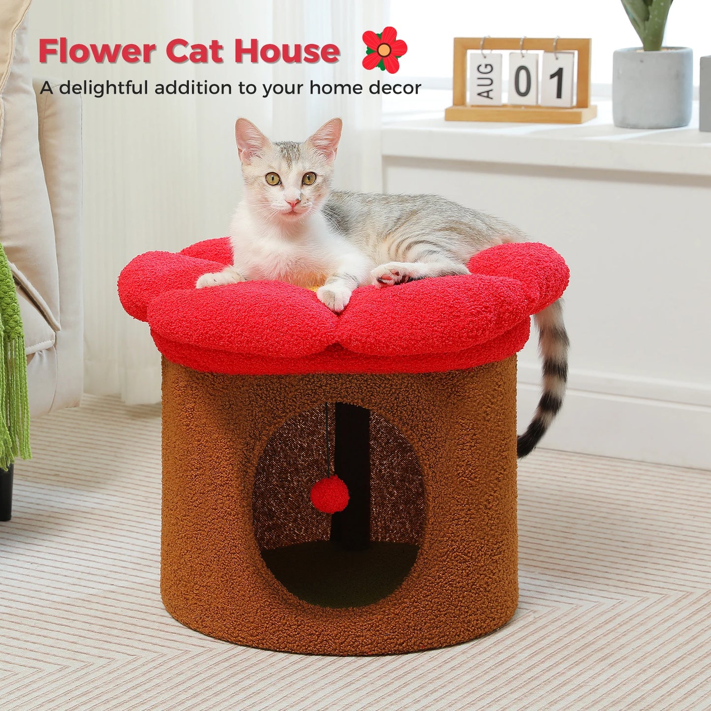 Cat Beds