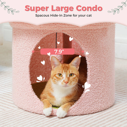 Cat Beds
