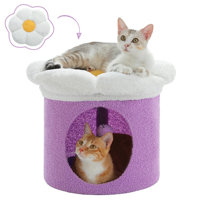 Cat Beds